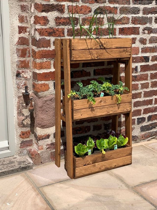 Regular Herb Garden Planter