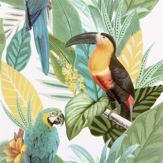 Toucan Jungle Wallpaper